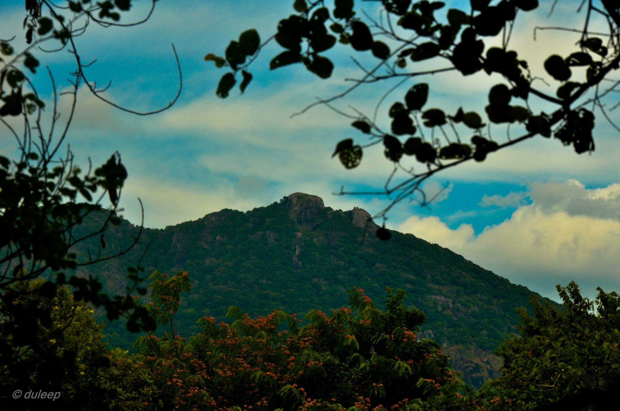Amaranta Classic Retreat Bambaragaleyaya ภายนอก รูปภาพ